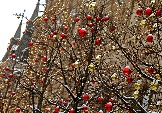 3 IMG_6358.jpg